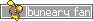 buneary.S6gs48OQ