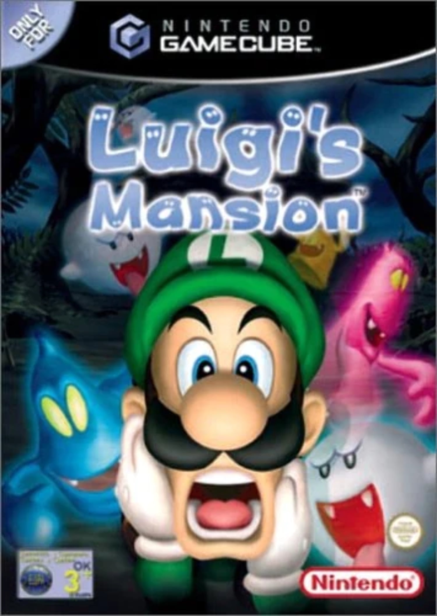 luigis mansion.D4dsCYX7